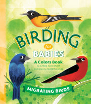 Birding for Babies: Migrating Birds 