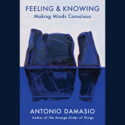 Feeling & Knowing 