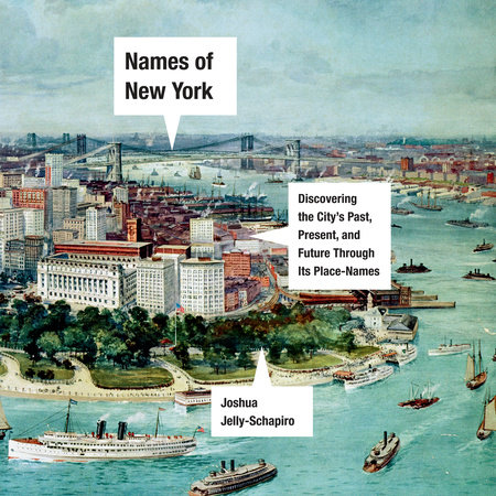 Names of New York by Joshua Jelly-Schapiro