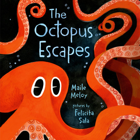 The Octopus Escapes by Maile Meloy