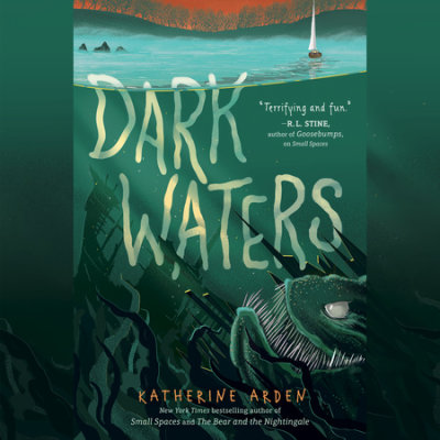 Dark Waters cover