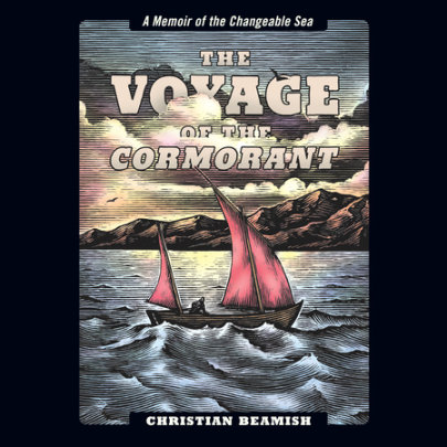 The Voyage of the Cormorant Cover