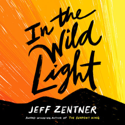 In the Wild Light Cover