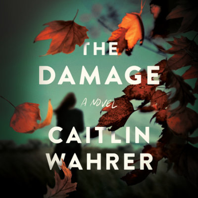 The Damage cover