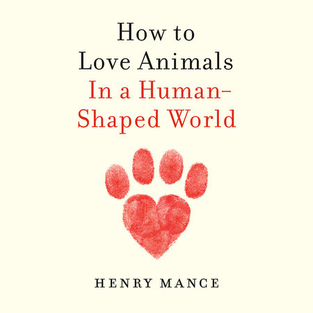 How to Love Animals by Henry Mance