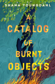 A Catalog of Burnt Objects 