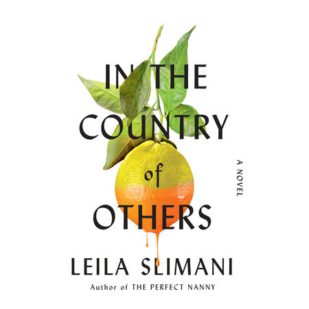 In the Country of Others Cover