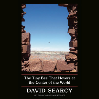 The Tiny Bee That Hovers at the Center of the World Cover