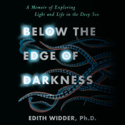 Below the Edge of Darkness 