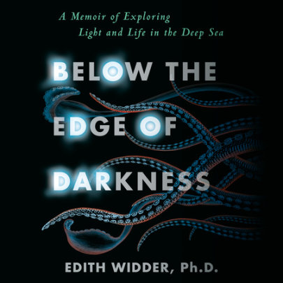 Below the Edge of Darkness Cover
