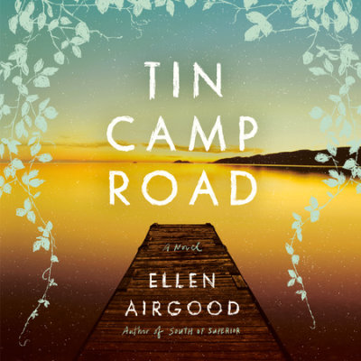 Tin Camp Road cover