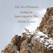 The Art of Patience 