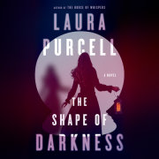 The Shape of Darkness 