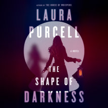 The Shape of Darkness Cover