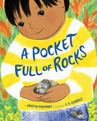 Book cover for A Pocket Full of Rocks