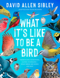 Book cover for What It\'s Like to Be a Bird (Adapted for Young Readers)