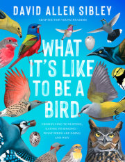 What It's Like to Be a Bird (Adapted for Young Readers) 