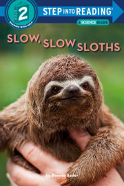 Slow, Slow Sloths 