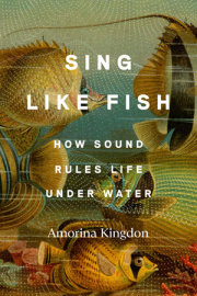 Sing Like Fish 