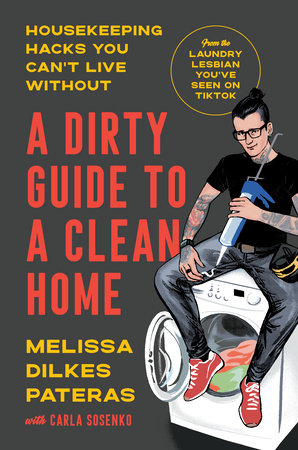 A Dirty Guide to a Clean Home
