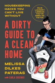 A Dirty Guide to a Clean Home 