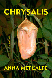 Chrysalis 