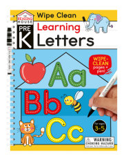 Learning Letters (Pre-K Wipe Clean Workbook) 