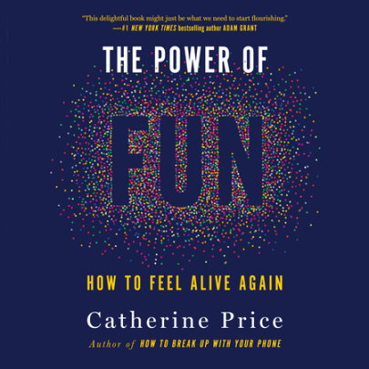 The Power of Fun Cover