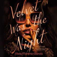 Velvet Was the Night Cover