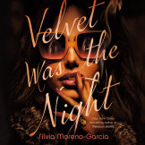 Velvet Was the Night cover small