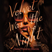 Velvet Was the Night cover big