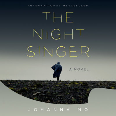 The Night Singer cover