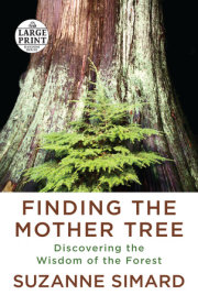 Finding the Mother Tree 