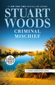 Criminal Mischief 