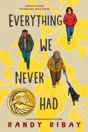 Everything We Never Had 