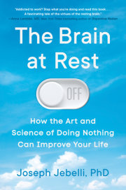 The Brain at Rest 