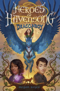 Book cover for Heroes of Havensong: Dragonboy