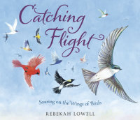 Book cover for Catching Flight