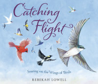 Cover of Catching Flight