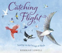 Cover of Catching Flight cover
