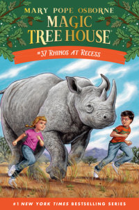 Book cover for Rhinos at Recess