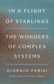 In a Flight of Starlings 