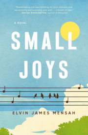 Small Joys 