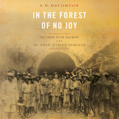 In the Forest of No Joy cover