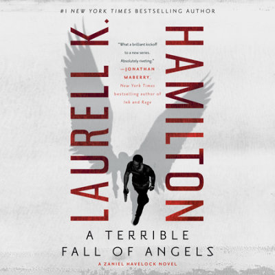 A Terrible Fall of Angels cover
