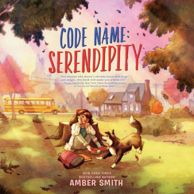 Code Name: Serendipity cover