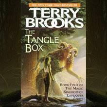 Tangle Box Cover