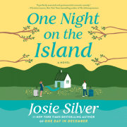 One Night on the Island