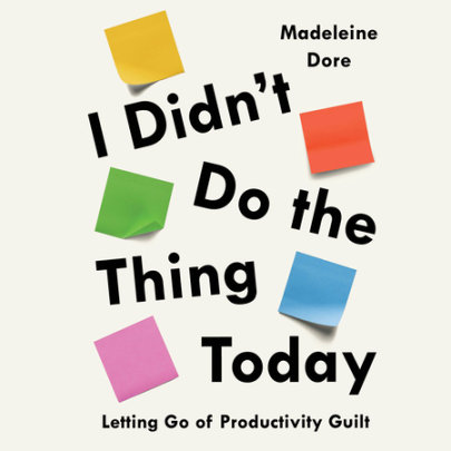 I Didn't Do the Thing Today Cover