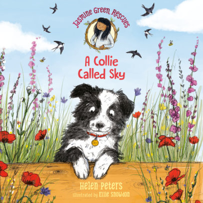 Jasmine Green Rescues: A Collie Called Sky Cover